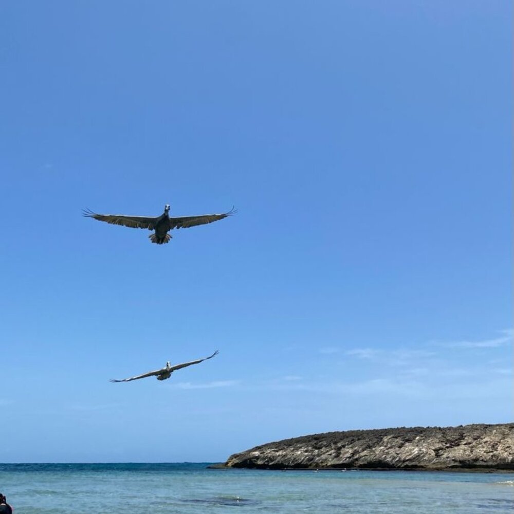 Meet your Posher, Natalya